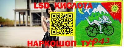соль ск Будённовск