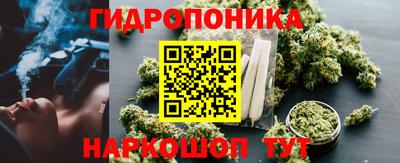 соль ск Будённовск