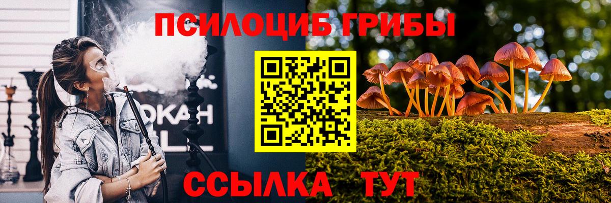 Псилоцибиновые грибы Psilocybe Салават